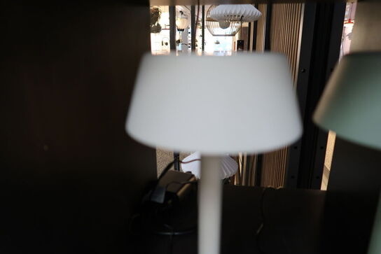 Bordlampe COMPANION T1 Støvet