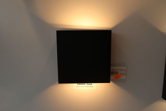 Udendørslampe LIGHT POINT Compact W1