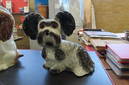 15 stk. Ozonlamper - Hunde