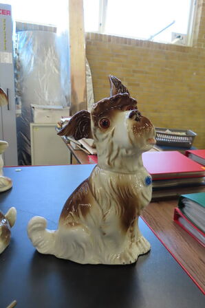 16 stk. Ozonlamper - Hunde
