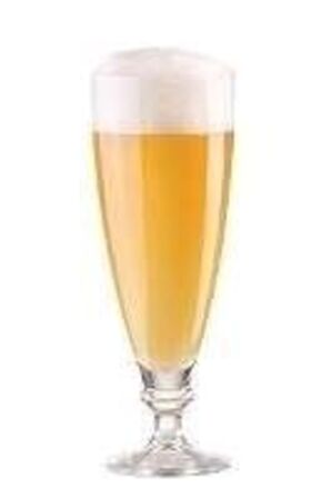 12 stk. Ølglas Harmonia 38,5 cl på fod