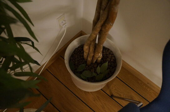 2 stk. stueplanter