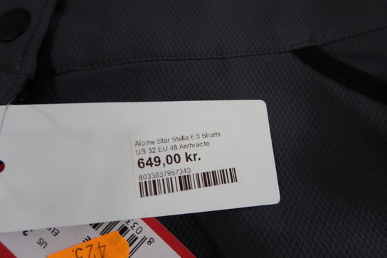 Cykelshorts, Alpinestars Stella Alps 6.0 Shorts - Str. EU48