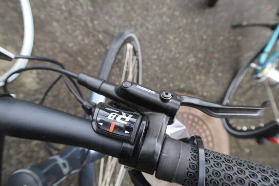 Citybike CENTURION Zero