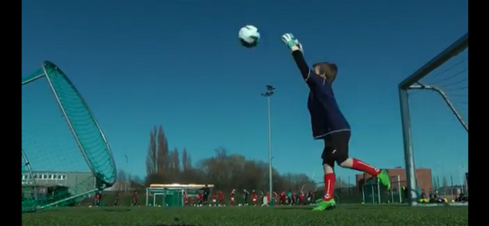 5 stk GLOBAL GOAL HOME