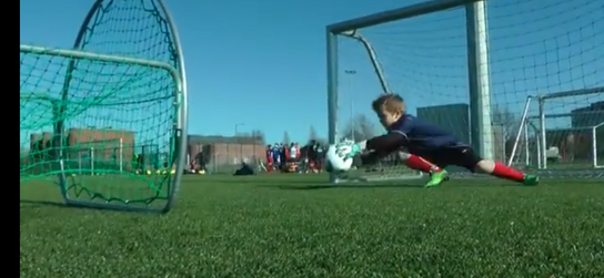 5 stk GLOBAL GOAL HOME