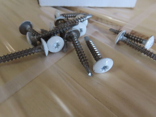 20 kasser. Rustfri skruer 4,8 x 33 mm med hvidt hoved