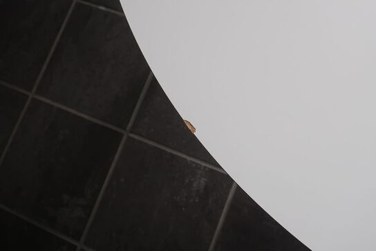 4 stk. stole samt sofabord