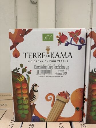 30 fl. Terre di Kama Catarratto-Pinot Grigio 2022 DOC Sicilia ØKO