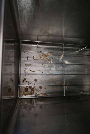 Køledisk til pomfritter