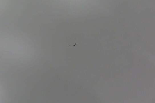 2 stk. Skriveborde m. justerbare ben