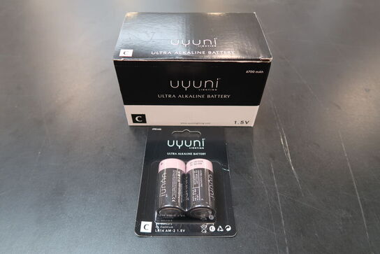 6 pk. Uyuni Lighting C batterier 2 Stk.