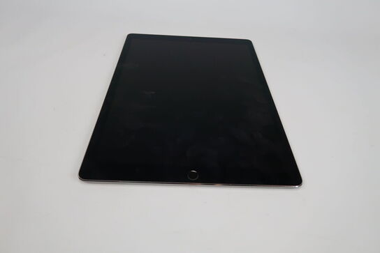 Apple iPad Pro 12.9" 2. Gen Wi-Fi+Cellular 256 GB