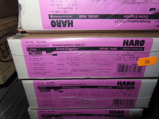 66 kvm. Laminatgulv - Oak Engadin