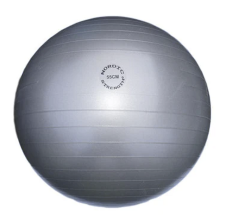 5 stk. Træningsbold 55 cm (grå) - Nordic Strength