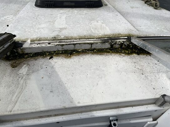 Båd GALAXIE CUDDY CABIN, årgang 1992