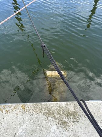 Båd GALAXIE CUDDY CABIN, årgang 1992