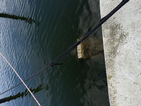 Båd GALAXIE CUDDY CABIN, årgang 1992