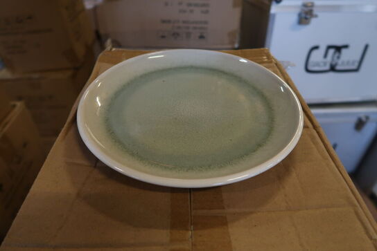 48 stk. Tallerkner - 21,5 cm 