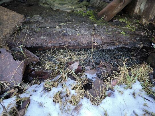 20 fods container med indhold