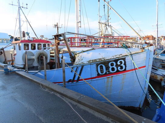 43 fod trawler/fiskefartøj, eg på eg årgang 1966