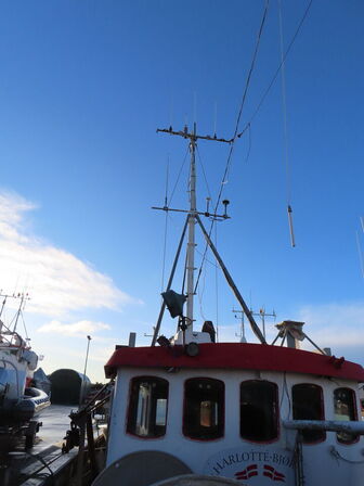 43 fod trawler/fiskefartøj, eg på eg årgang 1966