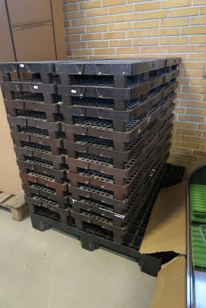 40 stk. plast kvartpaller og 1 stk. plastpalle