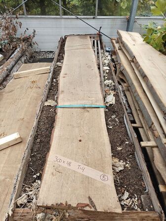 1 stk. Egetræsplanke str. 300 x 48 x 4