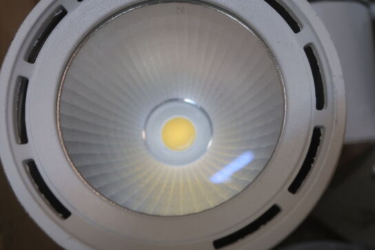 Samling Loftslamper OLIVAL Model: CLUO34-1208B8-403H5D2