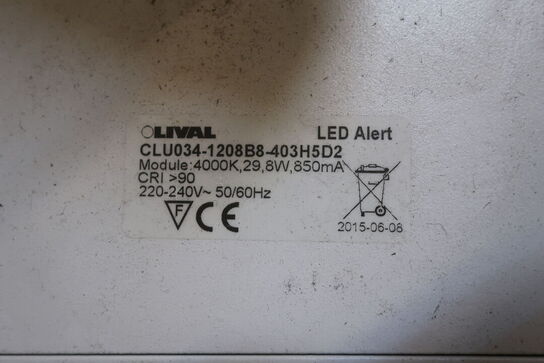 Samling Loftslamper OLIVAL Model: CLUO34-1208B8-403H5D2