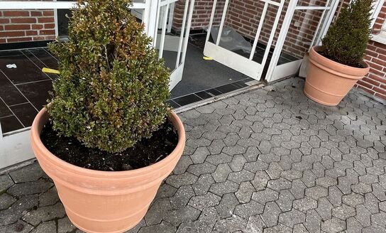 2  Krukker med indhold