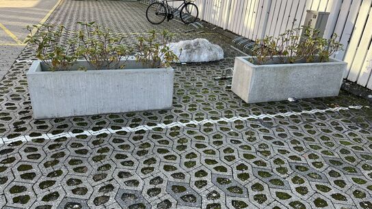 2 Plantekasser Beton med indhold