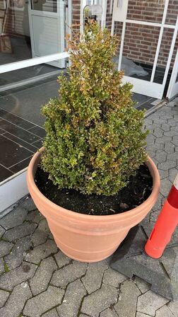 2  Krukker med indhold