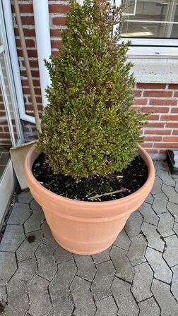 2  Krukker med indhold