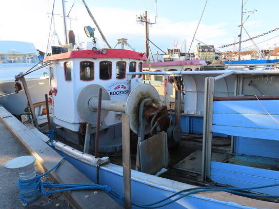 43 fod trawler/fiskefartøj, eg på eg årgang 1966