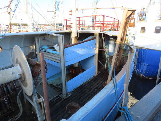 43 fod trawler/fiskefartøj, eg på eg årgang 1966