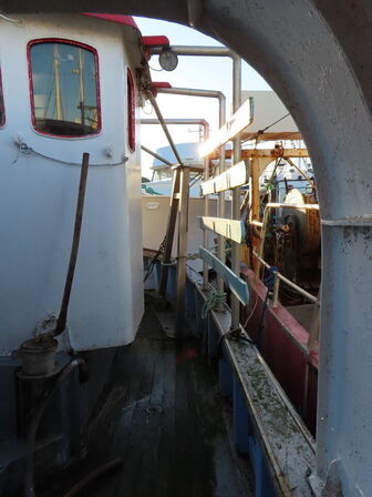 43 fod trawler/fiskefartøj, eg på eg årgang 1966