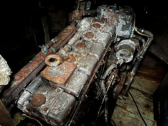 Bundgarnsjolle, Faxe Ladeplads, lærk på eg