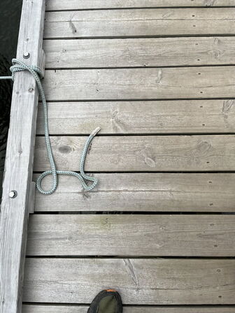 Bundgarnsjolle, Faxe Ladeplads, lærk på eg