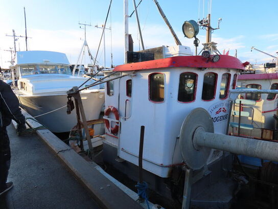 43 fod trawler/fiskefartøj, eg på eg årgang 1966