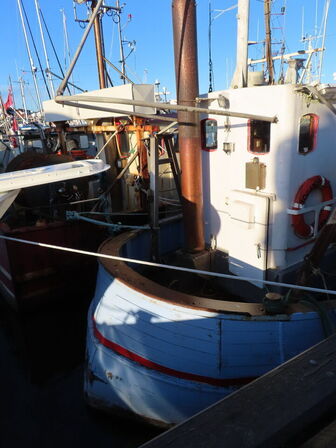 43 fod trawler/fiskefartøj, eg på eg årgang 1966