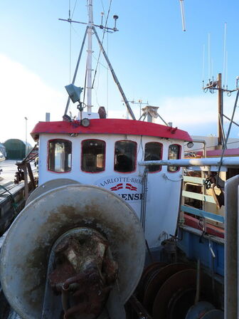 43 fod trawler/fiskefartøj, eg på eg årgang 1966
