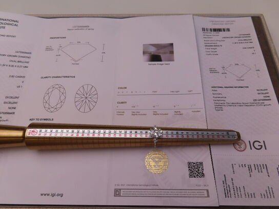 14 kt. Hvidguldring med 2.83 ct. Briliantsleben Diamant