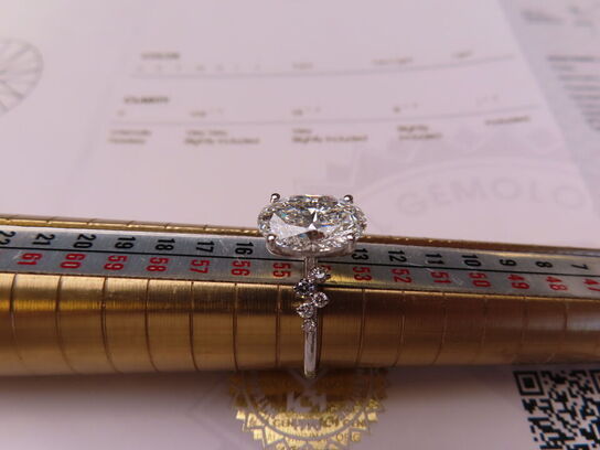 14 kt. Hvidguldring med 2.83 ct. Briliantsleben Diamant