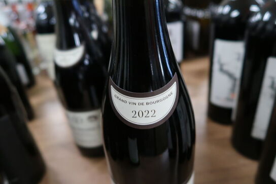 1 fl. Rødvin SANTENAY PREMIER CRU LA COMME GRAND VIN DE BOURGOGNE 2022