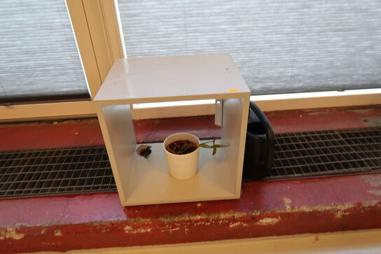 2 stk. reoler MUUTO Stacked m.m.