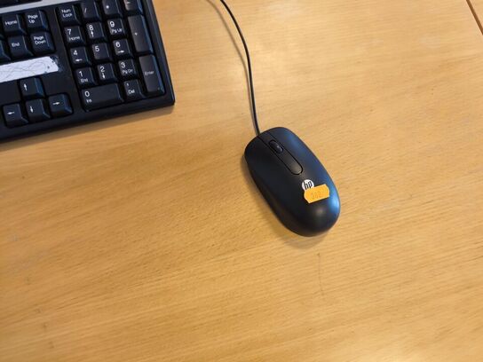 Skærm 22" m. tastatur HP L2206w (PC medfølger ikke)