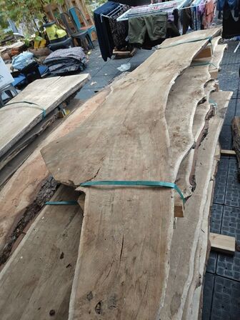 1 stk. Egetræsplanke str. 230 x 65 / 45 x 5