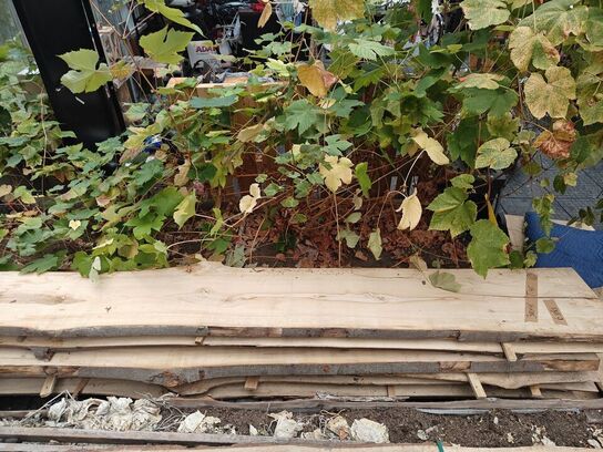 6 stk. Bøgetræsplanker str. 300 x 45 x 4,5