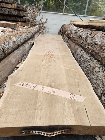 1 stk. Egetræsplanke str. 268 x 64 x 5,5